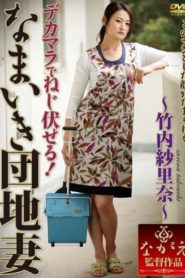 NSPS-208 คุณนายปากจัดเจ้าระเบียบโดนจัดเต็ม ซับไทยเอวี